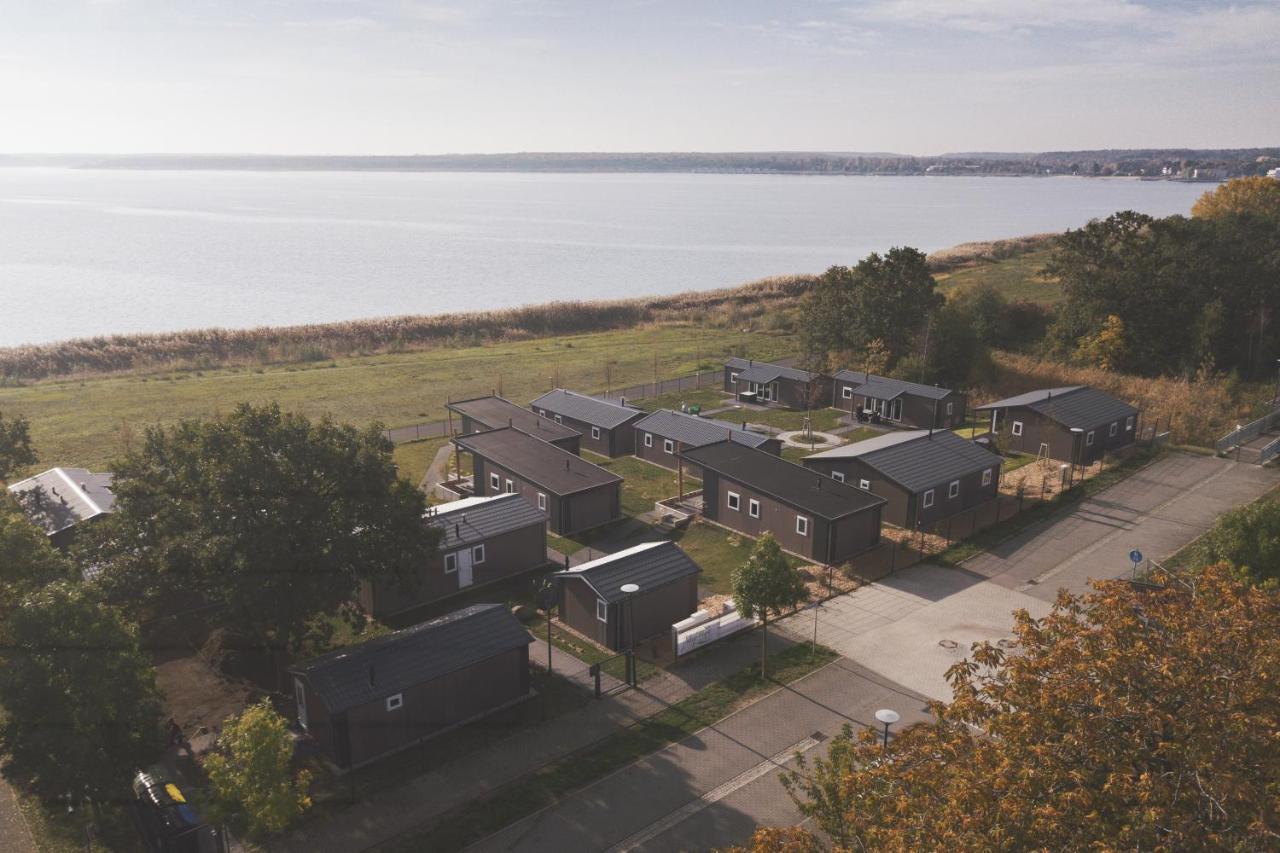 Lodgepark Goitzsche Gmbh Bitterfeld-Wolfen Zewnętrze zdjęcie